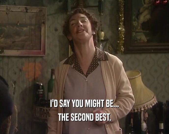 I'D SAY YOU MIGHT BE... THE SECOND BEST. 