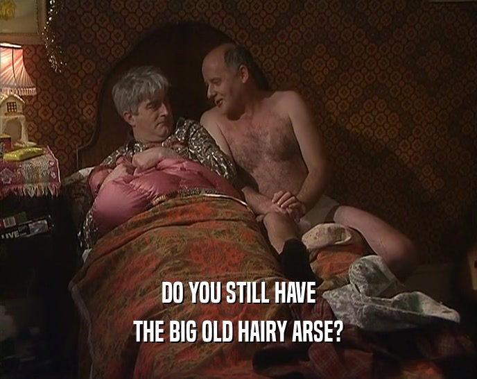 DO YOU STILL HAVE
 THE BIG OLD HAIRY ARSE?
 