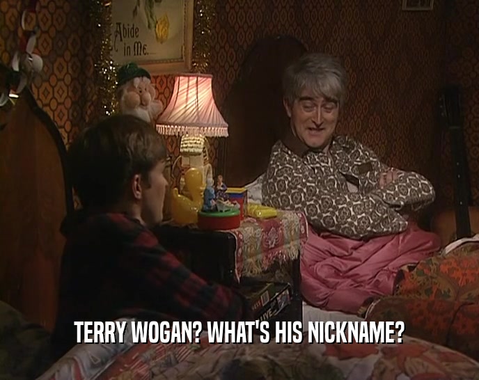 TERRY WOGAN? WHAT'S HIS NICKNAME?  