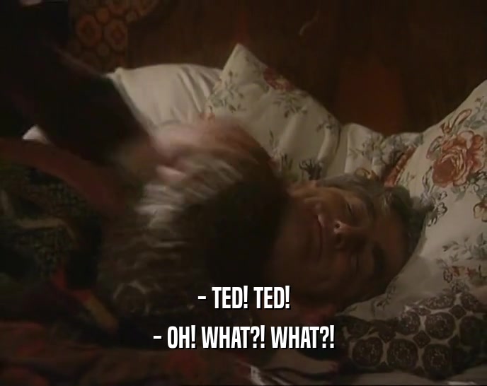 - TED! TED! - OH! WHAT?! WHAT?! 