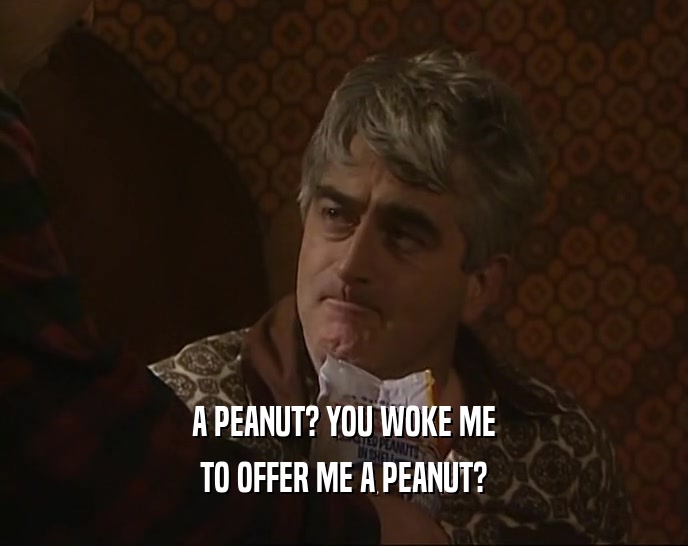 A PEANUT? YOU WOKE ME TO OFFER ME A PEANUT? 