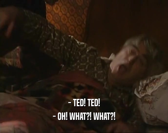 - TED! TED! - OH! WHAT?! WHAT?! 