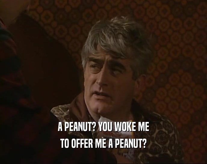 A PEANUT? YOU WOKE ME TO OFFER ME A PEANUT? 