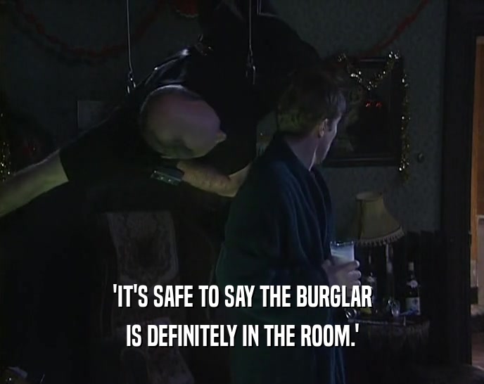 'IT'S SAFE TO SAY THE BURGLAR
 IS DEFINITELY IN THE ROOM.'
 