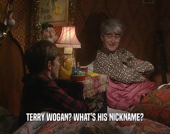 TERRY WOGAN? WHAT'S HIS NICKNAME?  