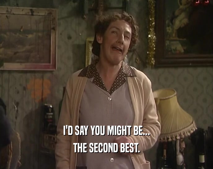 I'D SAY YOU MIGHT BE... THE SECOND BEST. 