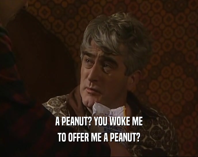 A PEANUT? YOU WOKE ME TO OFFER ME A PEANUT? 