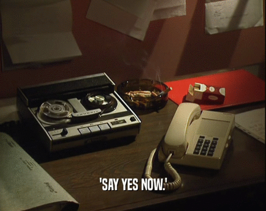 'SAY YES NOW.'  