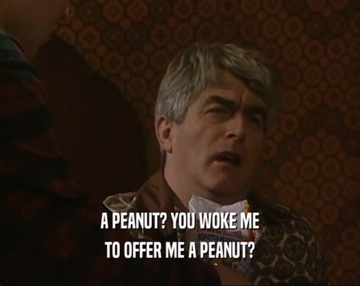 A PEANUT? YOU WOKE ME TO OFFER ME A PEANUT? 