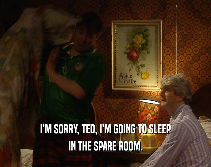I'M SORRY, TED, I'M GOING TO SLEEP IN THE SPARE ROOM. 