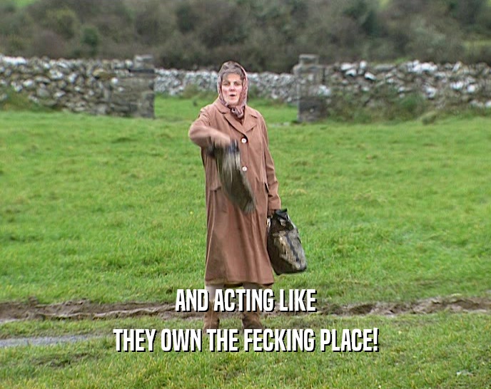 AND ACTING LIKE THEY OWN THE FECKING PLACE! 
