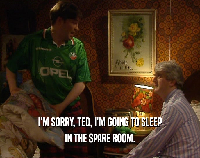 I'M SORRY, TED, I'M GOING TO SLEEP IN THE SPARE ROOM. 