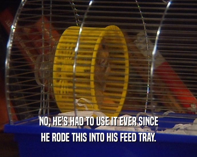 NO, HE'S HAD TO USE IT EVER SINCE HE RODE THIS INTO HIS FEED TRAY. 