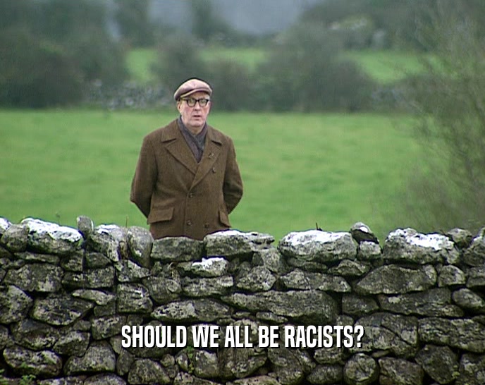 SHOULD WE ALL BE RACISTS?  