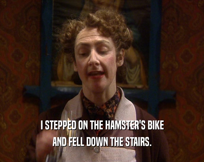 I STEPPED ON THE HAMSTER'S BIKE
 AND FELL DOWN THE STAIRS.
 