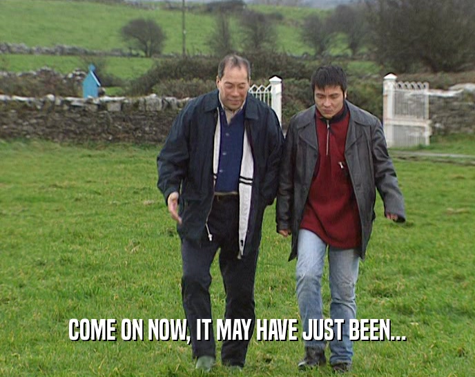 COME ON NOW, IT MAY HAVE JUST BEEN...  