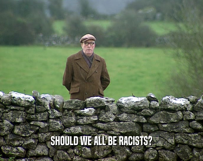 SHOULD WE ALL BE RACISTS?  