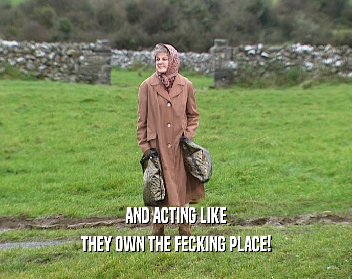 AND ACTING LIKE THEY OWN THE FECKING PLACE! 