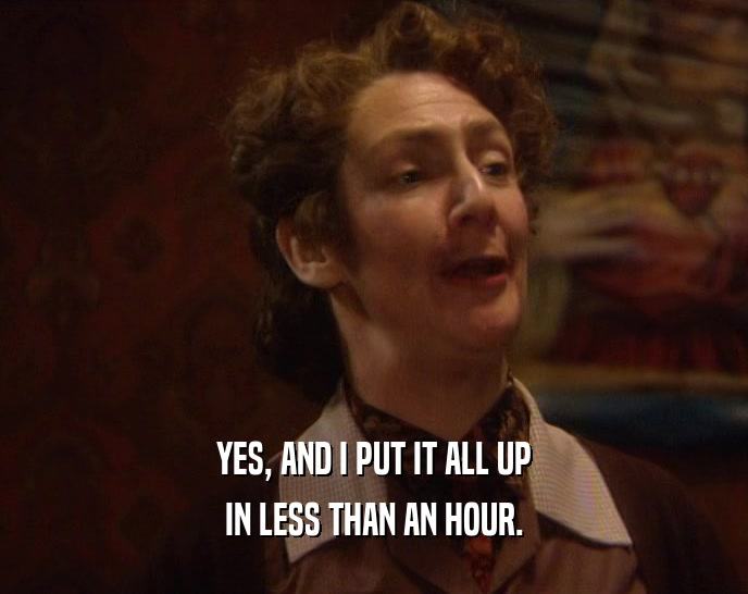 YES, AND I PUT IT ALL UP IN LESS THAN AN HOUR. 