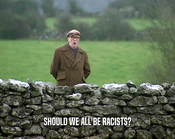 SHOULD WE ALL BE RACISTS?  