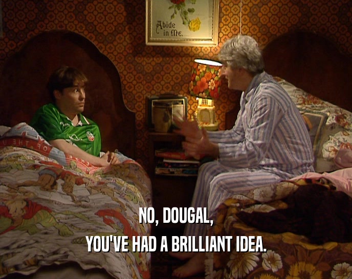 NO, DOUGAL,
 YOU'VE HAD A BRILLIANT IDEA.
 