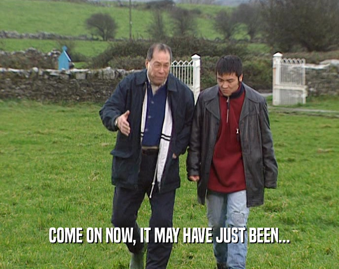 COME ON NOW, IT MAY HAVE JUST BEEN...  