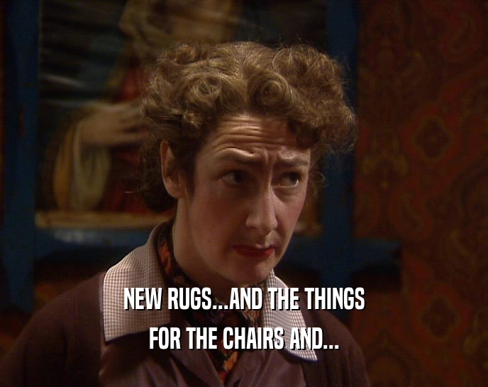 NEW RUGS...AND THE THINGS FOR THE CHAIRS AND... 