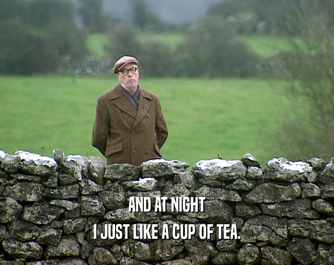 AND AT NIGHT I JUST LIKE A CUP OF TEA. 