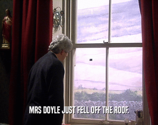 MRS DOYLE JUST FELL OFF THE ROOF.
  
