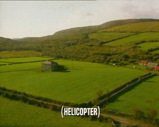 (HELICOPTER)  