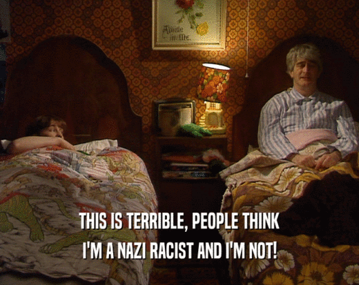 THIS IS TERRIBLE, PEOPLE THINK I'M A NAZI RACIST AND I'M NOT! 