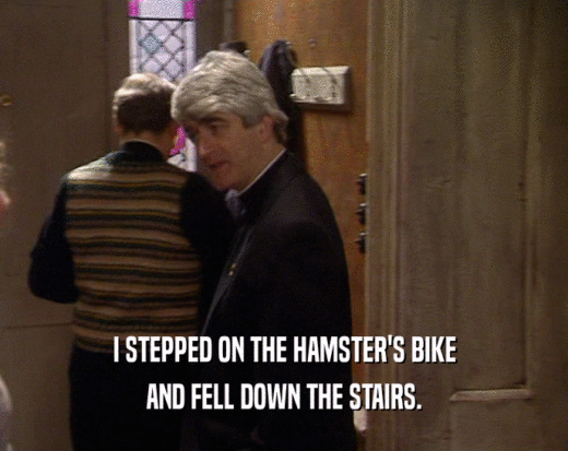 I STEPPED ON THE HAMSTER'S BIKE
 AND FELL DOWN THE STAIRS.
 