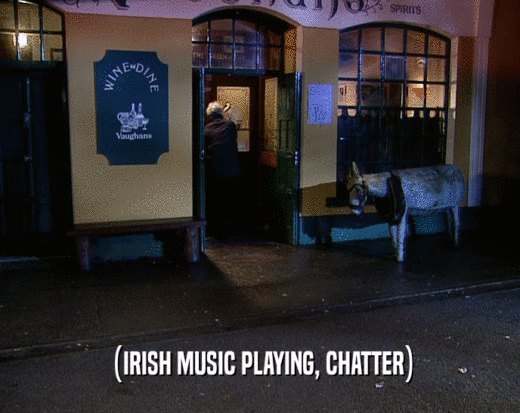 (IRISH MUSIC PLAYING, CHATTER)
  