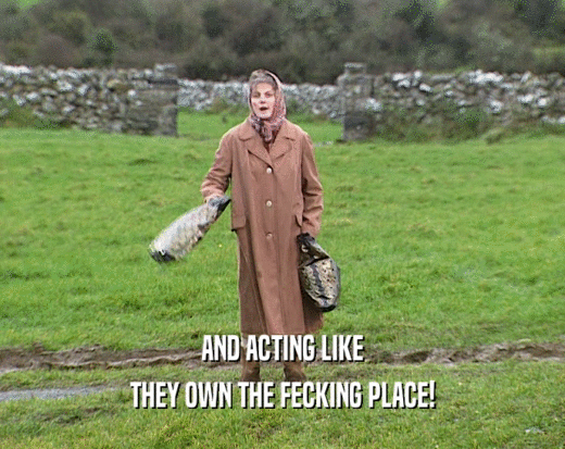 AND ACTING LIKE THEY OWN THE FECKING PLACE! 