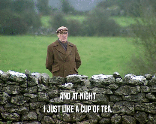 AND AT NIGHT I JUST LIKE A CUP OF TEA. 