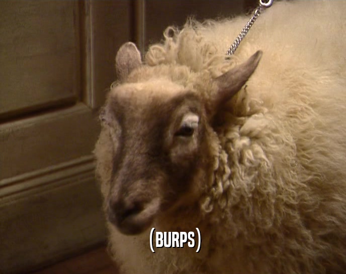 (BURPS)  