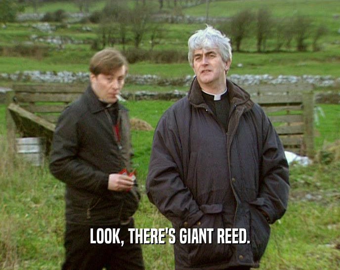 LOOK, THERE'S GIANT REED.  