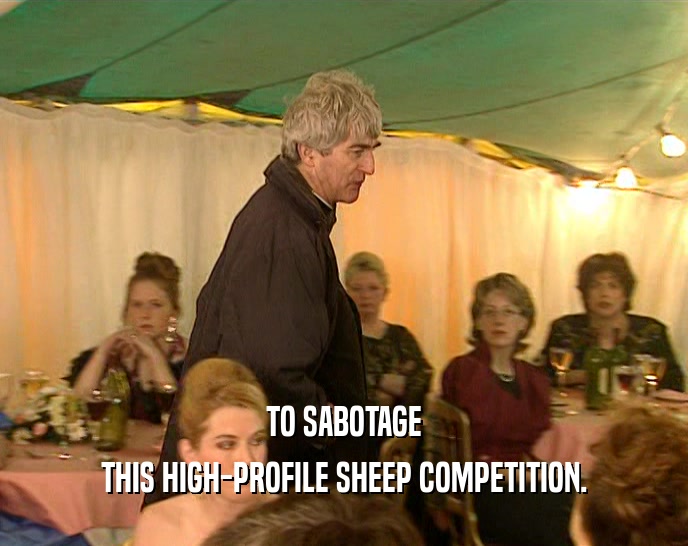 TO SABOTAGE THIS HIGH-PROFILE SHEEP COMPETITION. 