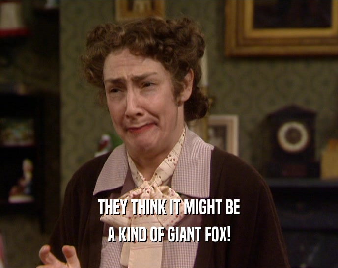 THEY THINK IT MIGHT BE A KIND OF GIANT FOX! 
