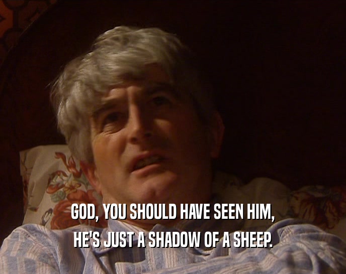 GOD, YOU SHOULD HAVE SEEN HIM, HE'S JUST A SHADOW OF A SHEEP. 