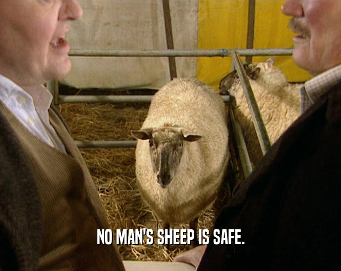NO MAN'S SHEEP IS SAFE.  