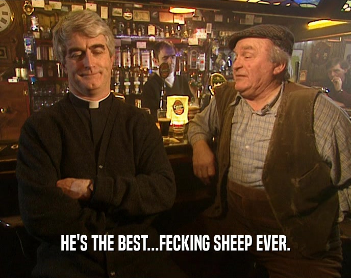 HE'S THE BEST...FECKING SHEEP EVER.  