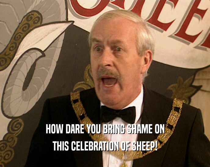 HOW DARE YOU BRING SHAME ON THIS CELEBRATION OF SHEEP! 