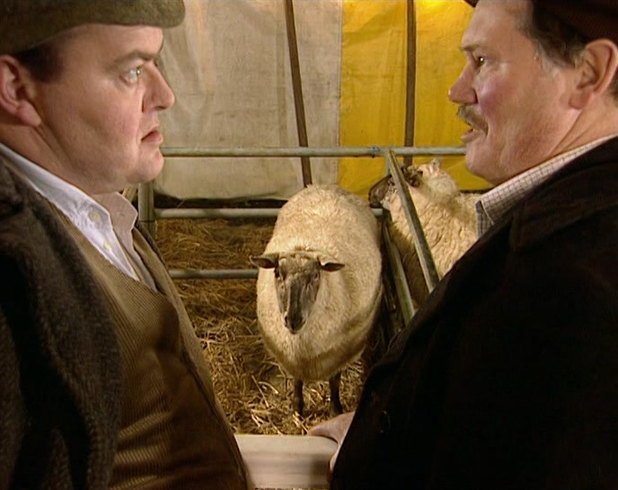 NO MAN'S SHEEP IS SAFE.  