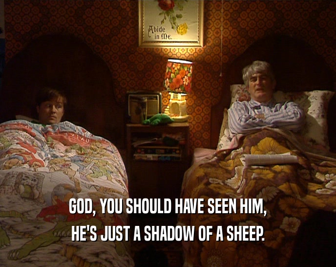 GOD, YOU SHOULD HAVE SEEN HIM, HE'S JUST A SHADOW OF A SHEEP. 