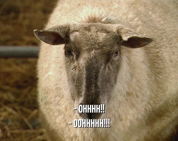 - OHHHH!! - OOHHHHH!!! 