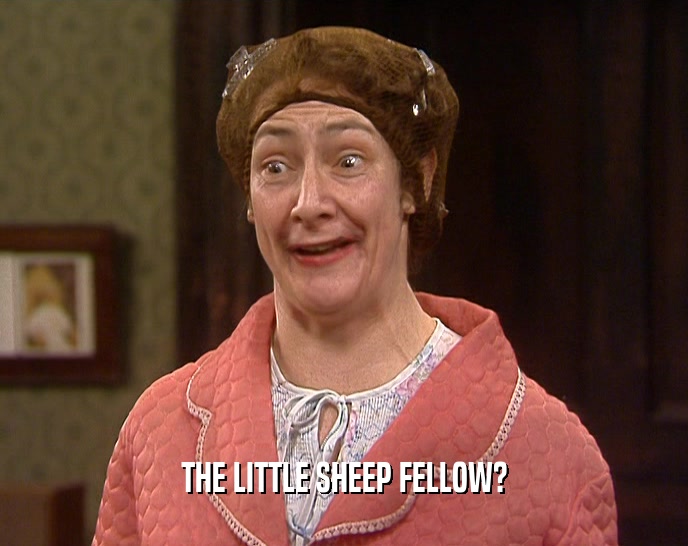THE LITTLE SHEEP FELLOW?  