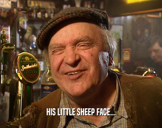 HIS LITTLE SHEEP FACE...  