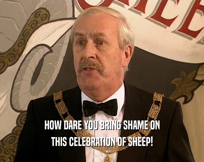 HOW DARE YOU BRING SHAME ON THIS CELEBRATION OF SHEEP! 