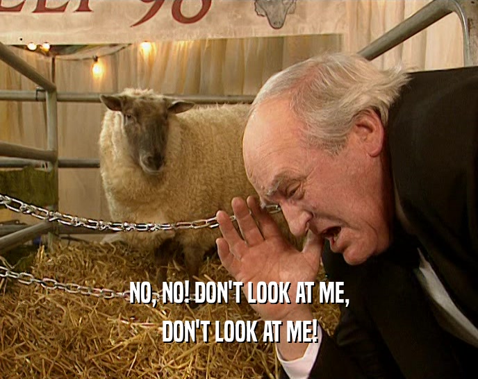NO, NO! DON'T LOOK AT ME, DON'T LOOK AT ME! 